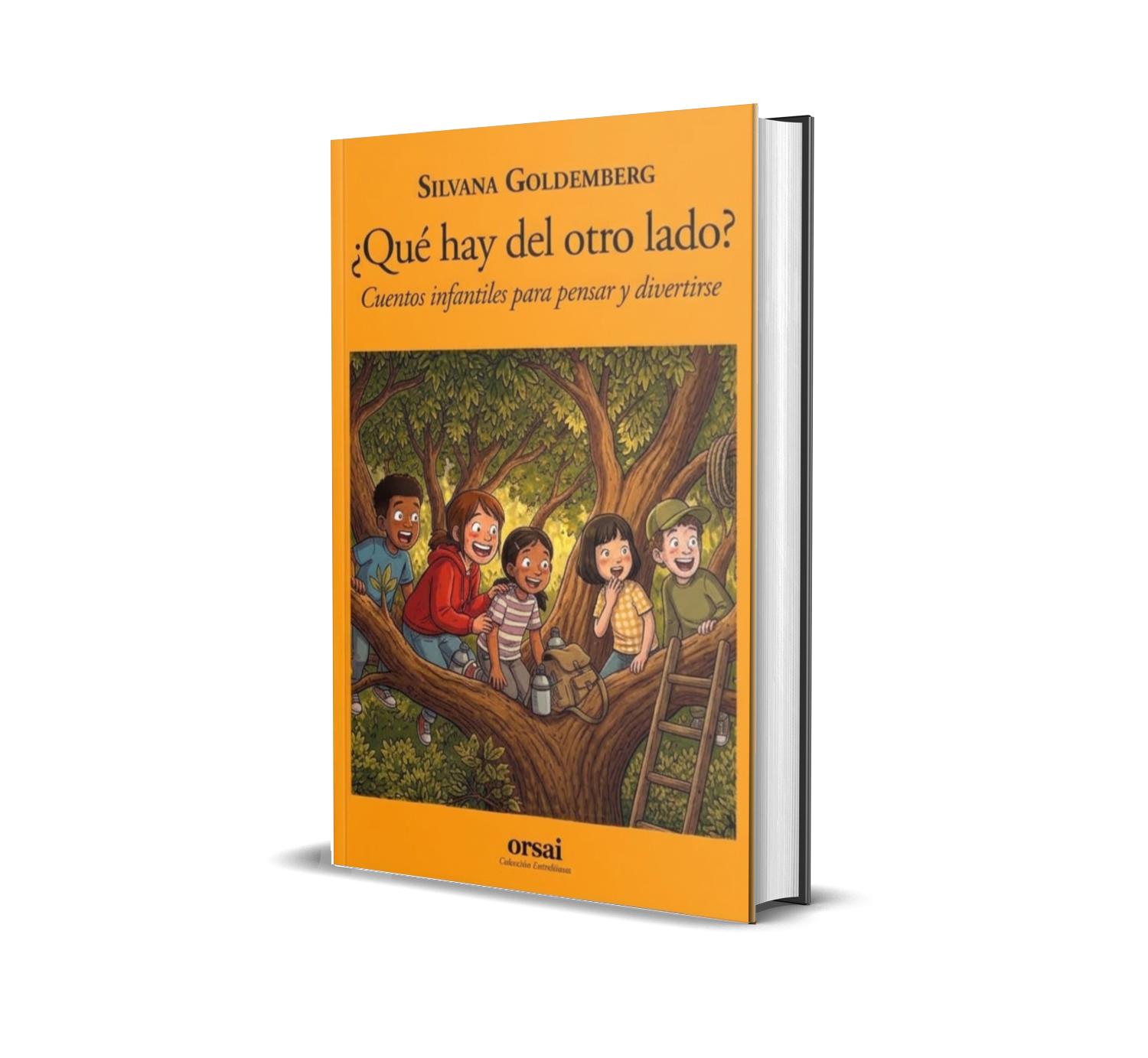 Que hay del otro lado, La feria del Libro